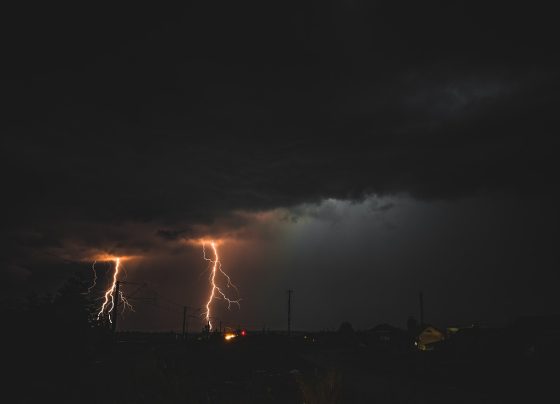 Imagem de István Bogdan por Pixabay
