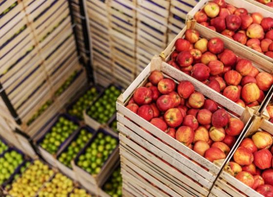 Maçãs e laranjas em caixotes