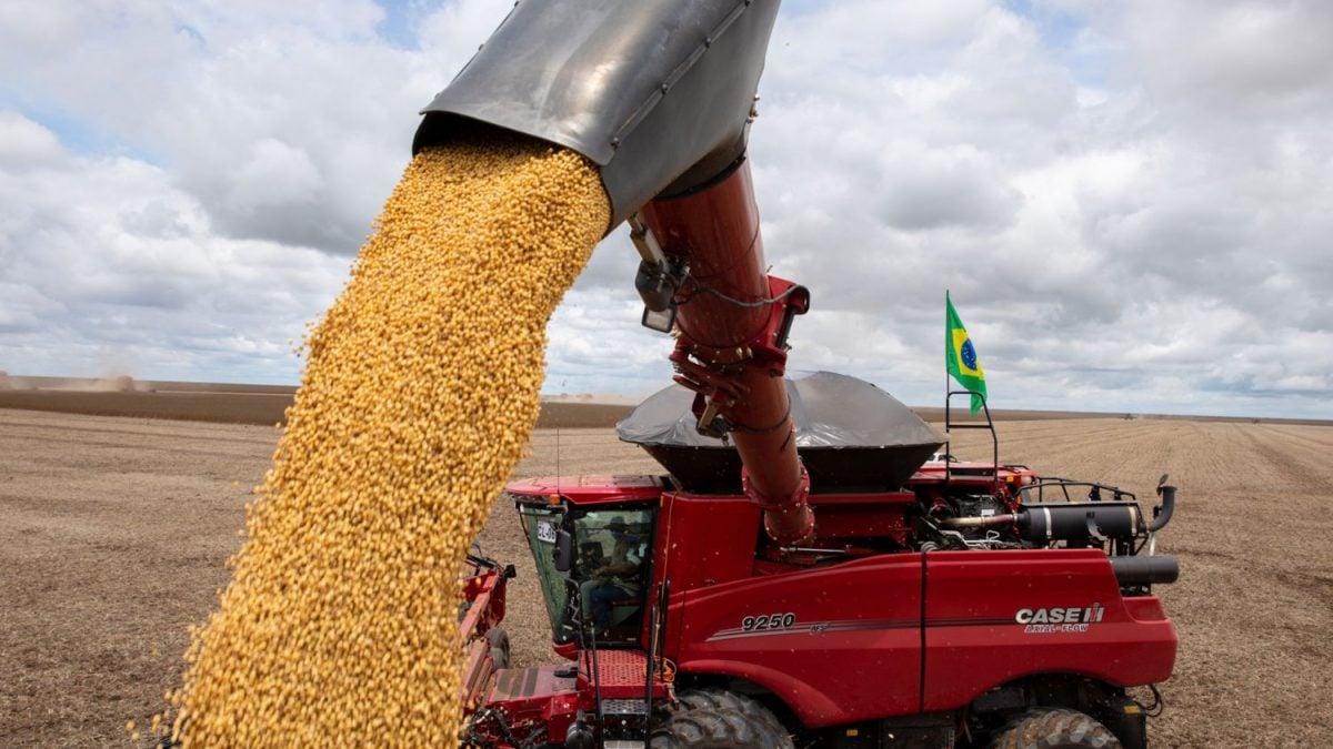BRF Trabalha com Safra Recorde de Soja do Brasil de 174 Milhões de Toneladas