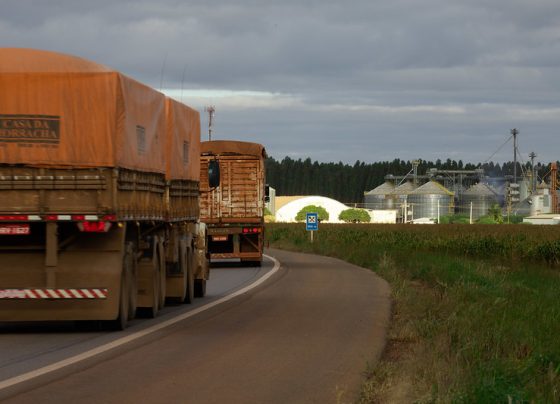 caminhão em estrada fazendo transporte de grãos para silo ou armazém de cooperativa