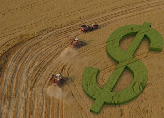 crédito rural, preços, pib, commodities, crescimento no PIB, dinheiro, desenvolvimento, mercado brasileiro, plano safra, crédito rural, PIB do agronegócio, plano safra, moderfrota, fiagro