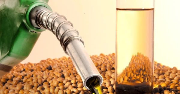 ICL diz que manter mistura de 14% de biodiesel ajuda a discutir fiscalização