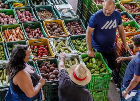 alimentos