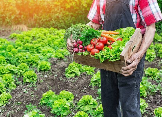 Homem segurando caixa de alimentos