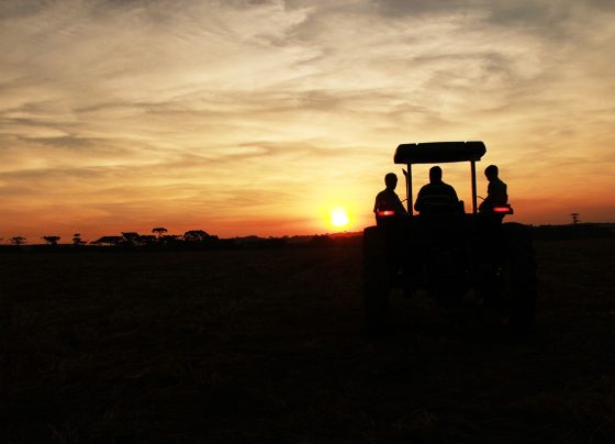 trator ao por do sol