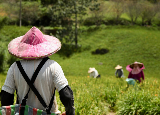 Agricultura Familiar