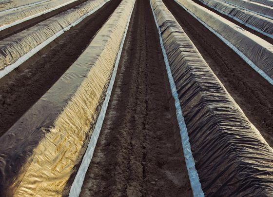 plástico na agricultura