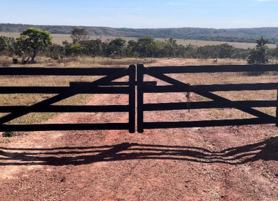 porteira fechada Valor Bruto da Produção (VBP)