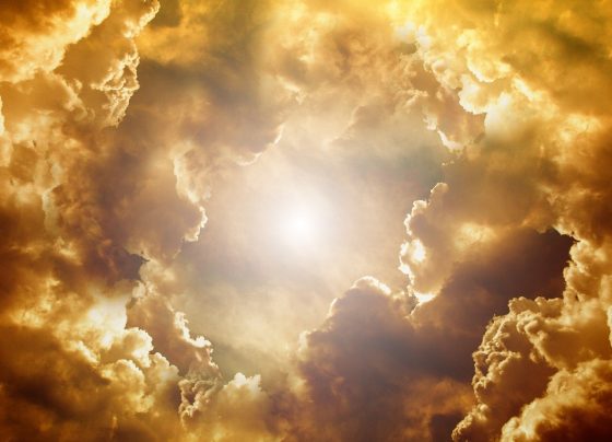 calor, onda de calor, altas temperaturas