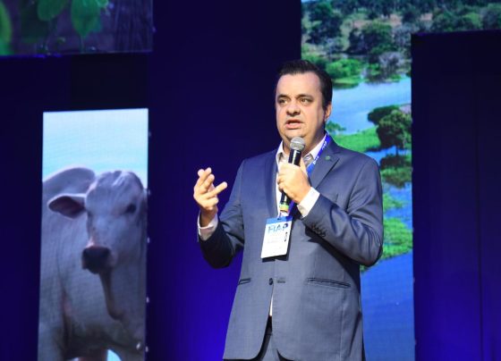 Roberto Perosa, secretário de Comércio no Ministério da Agricultura. Foto: Canal Rural