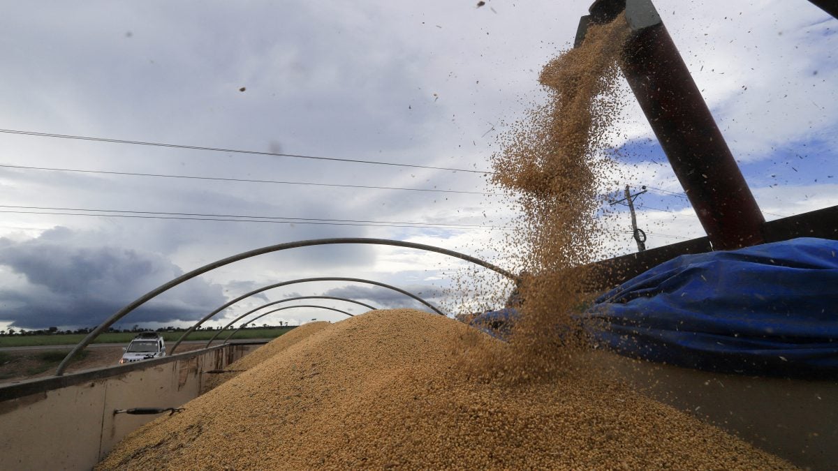 Chinesa Sinograin Vai Leiloar Soja Importada em Meio à Escassez de Oferta