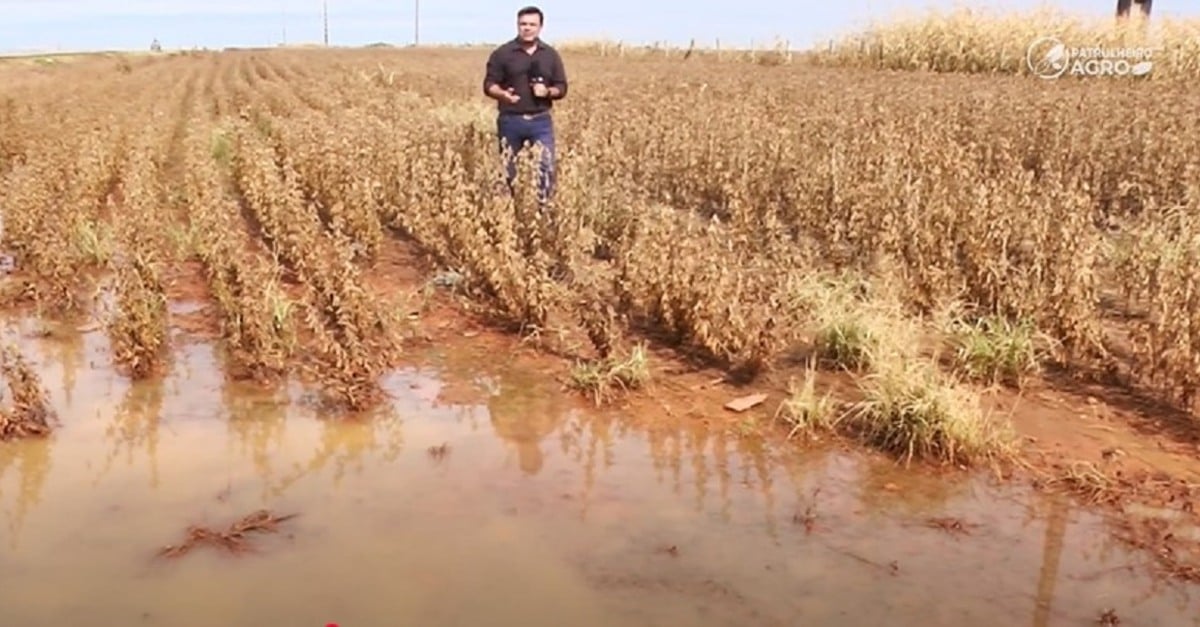 Colheitadeiras atolam nas lavouras após 3 mil mm de chuvas em MT