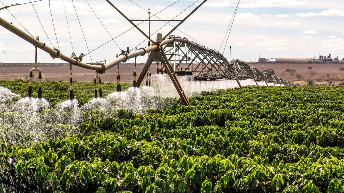 Com Preço em Alta, Produtores de Café do Brasil Aumentam o Uso da Irrigação