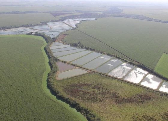viveiro para aquicultura