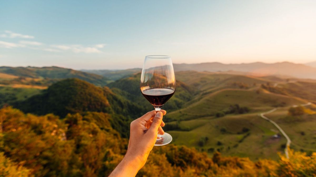 Cresce a Demanda por Vinhos Finos Italianos no Mundo