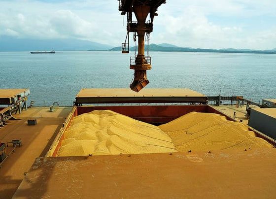 soja para exportação