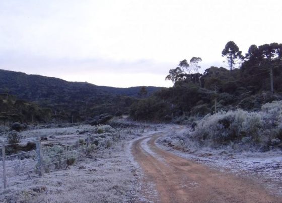 tempo, frio, geada