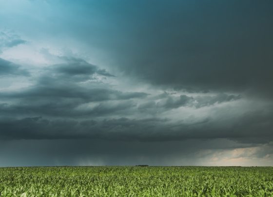 vento forte, ventania, chuva, tempestades