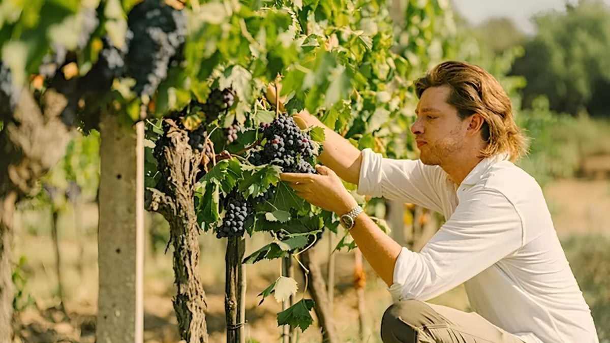 Os Vinhos Leves e Frescos de Santiago Cinzano, Herdeiro dos Brunello Di Montalcino