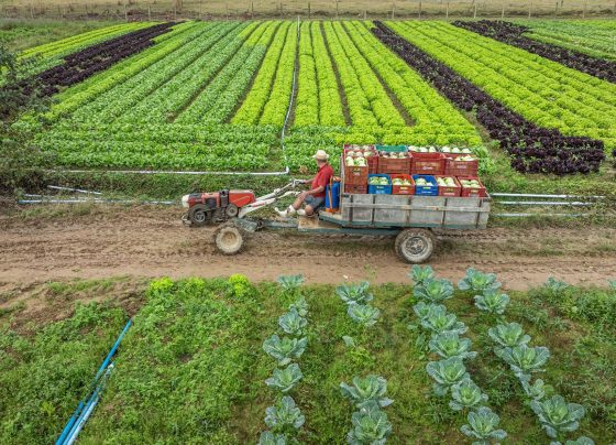 Santa Catarina investe mais de R$ 40 milhões em projetos de apoio aos produtores rurais