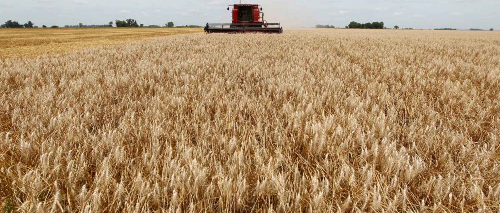 Rússia Processa Bilionário do Setor Agrícola por Suspeita de Fraude