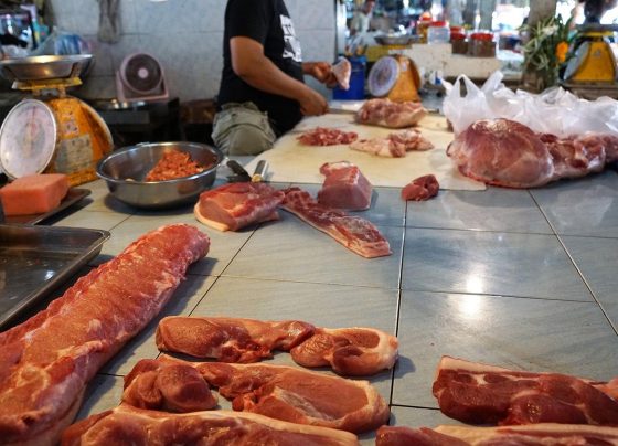 carne preços alimentos