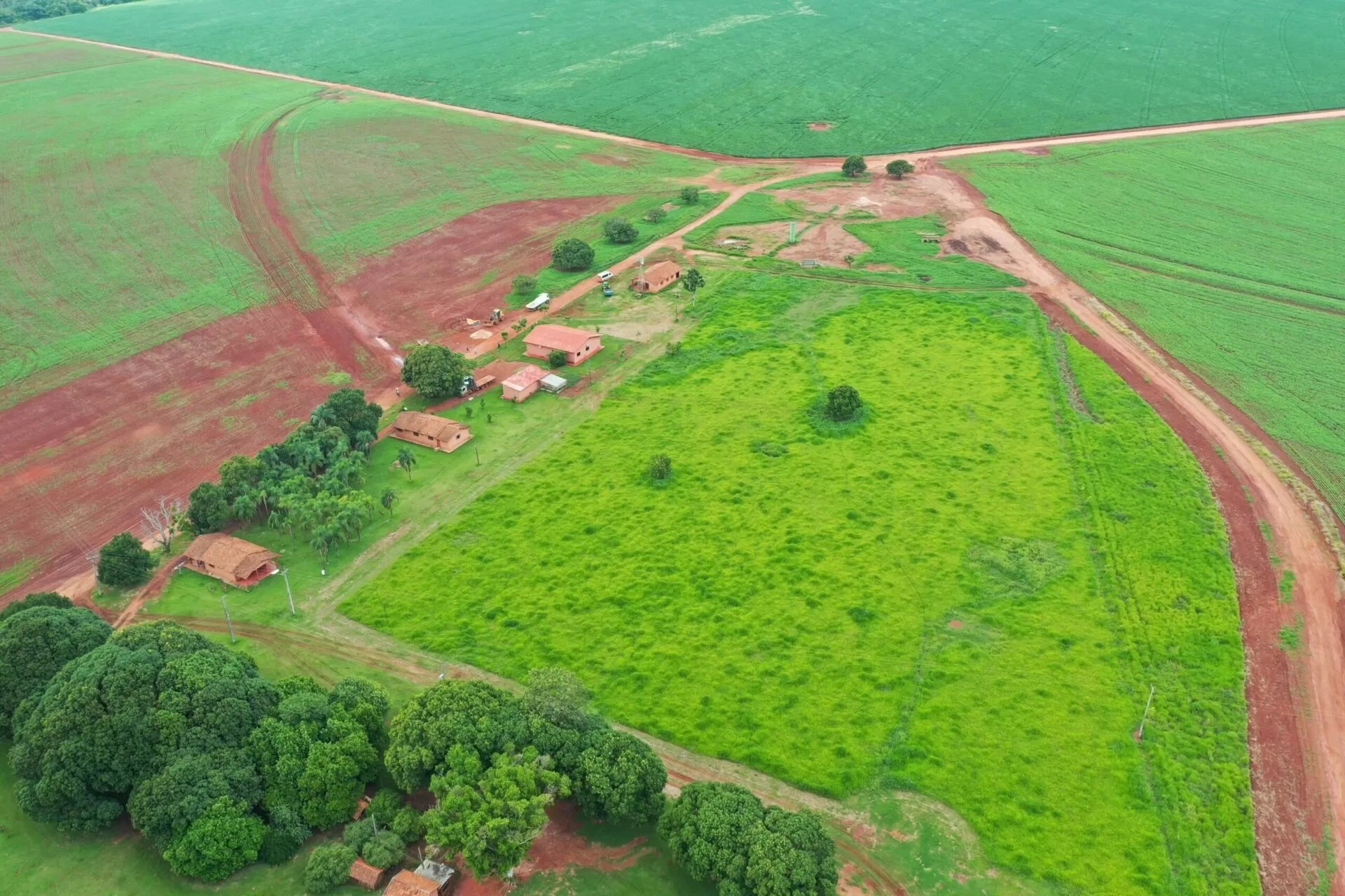 AMAGGI e NaturAll Carbon se unem em projeto de geração de créditos de carbono