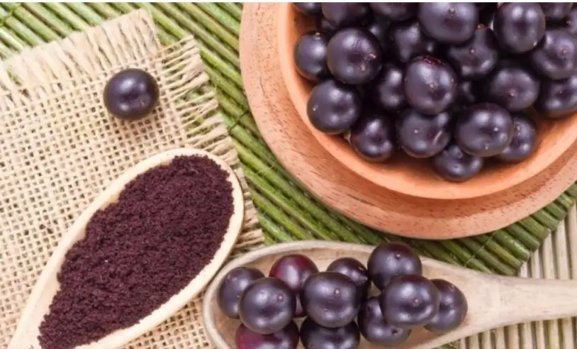 Açaí de Bailique (AP) conquista Indicação Geográfica
