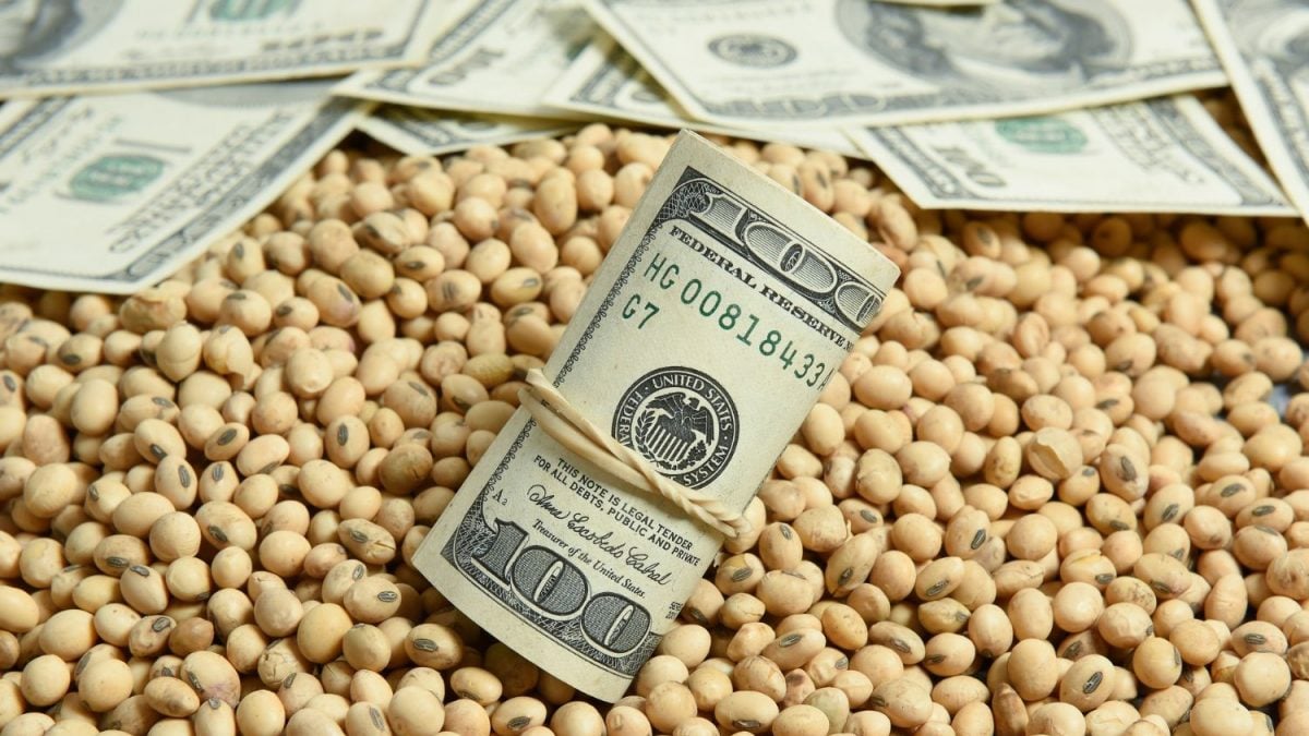 Agro da Argentina Terá Novo Esquema para Exportar com Ingresso de US$ 30 Bi