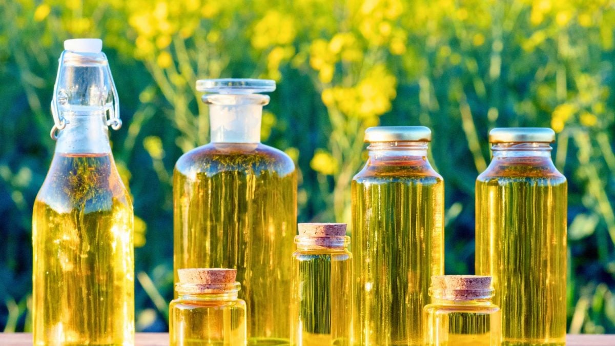 Be8 Recebe Certificação para Exportar Biodiesel à Califórnia