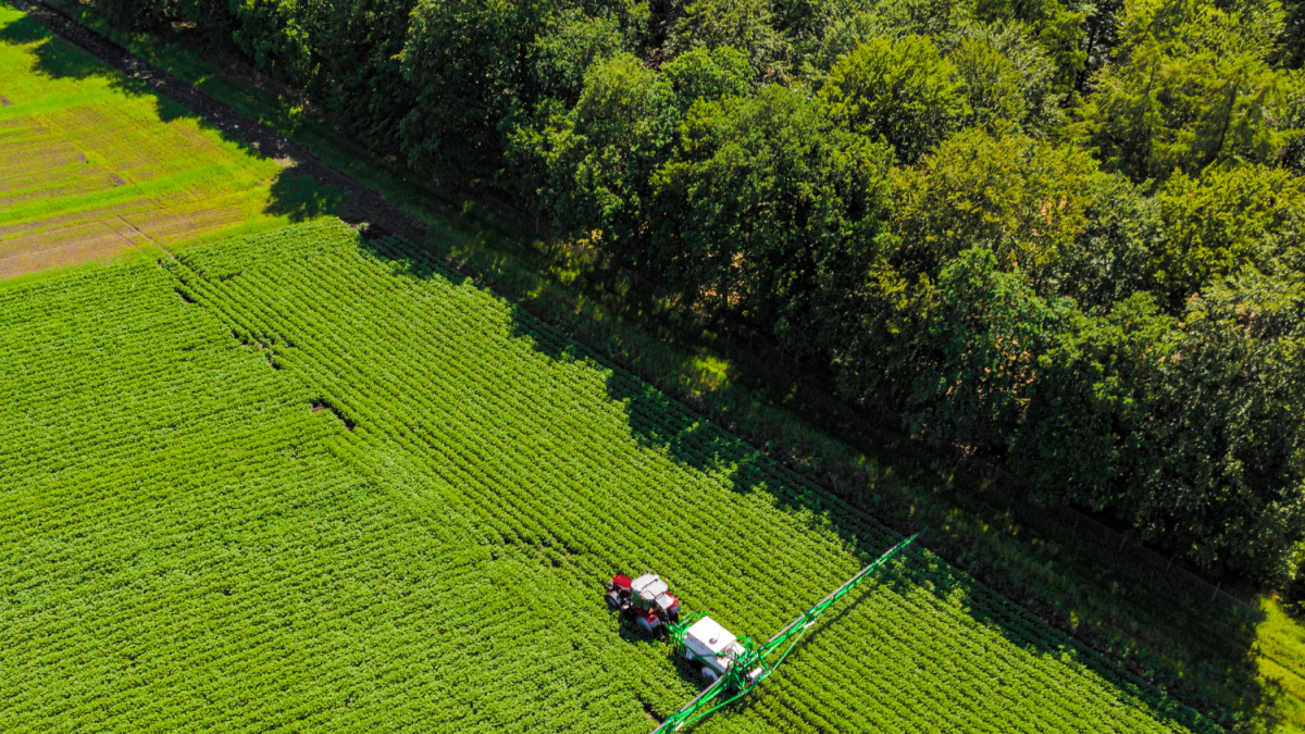 Brasil Lidera a Preservação Florestal em Propriedades Privadas