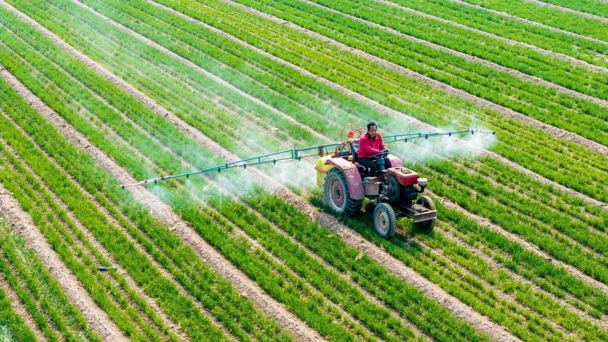 China Cria Plano para se Tornar Uma Potência Agrícola
