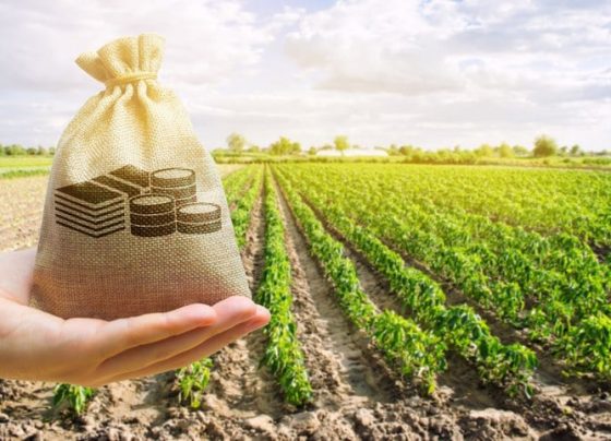 crédito rural, CNA, dívida, dívidas