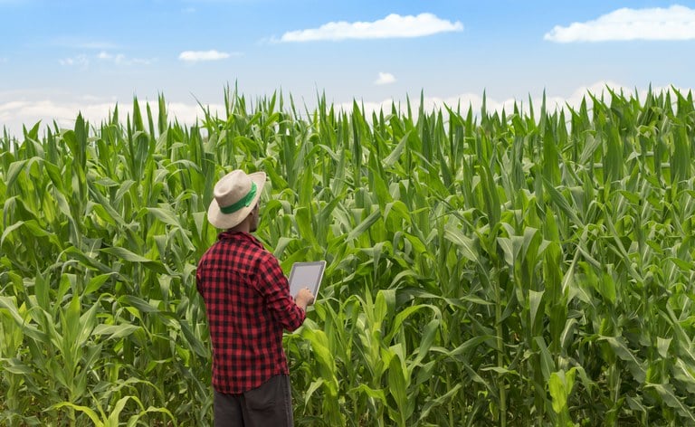 O que mais te preocupa na hora de declarar o IR como produtor rural?