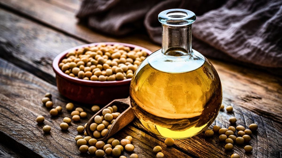 Óleo de Soja Conquista Fatia no Biodiesel do Brasil