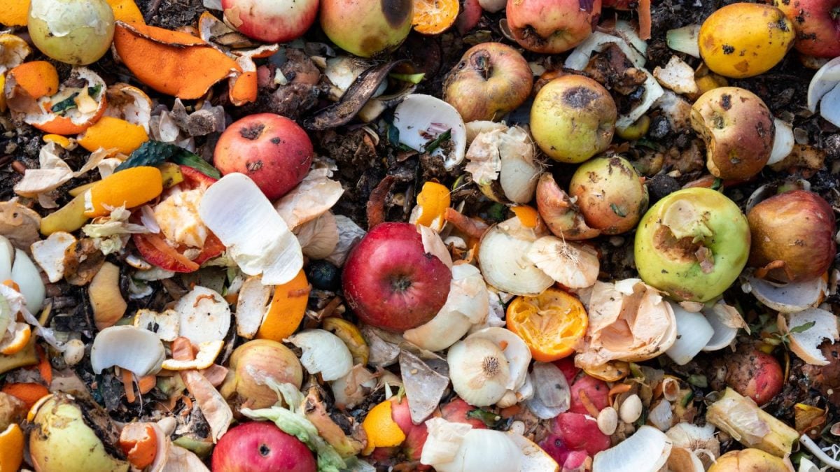 Por Que o Desperdício de Alimentos Continua Sendo Um Problema