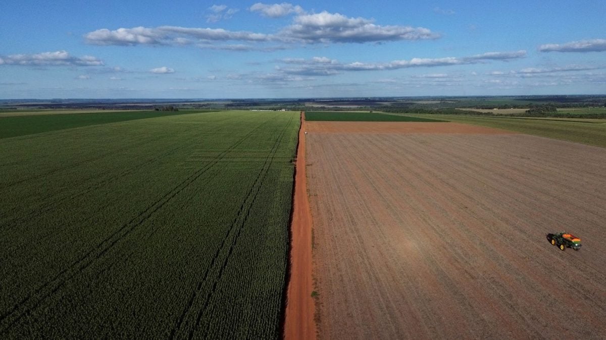 Produtores de soja do Paraguai são atingidos por guerra tarifária