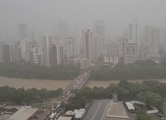 CNN Brasil