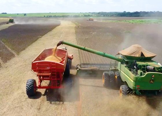 classifica&ccedil;&atilde;o de gr&atilde;os soja pedro silvestre canal rural mato grosso1