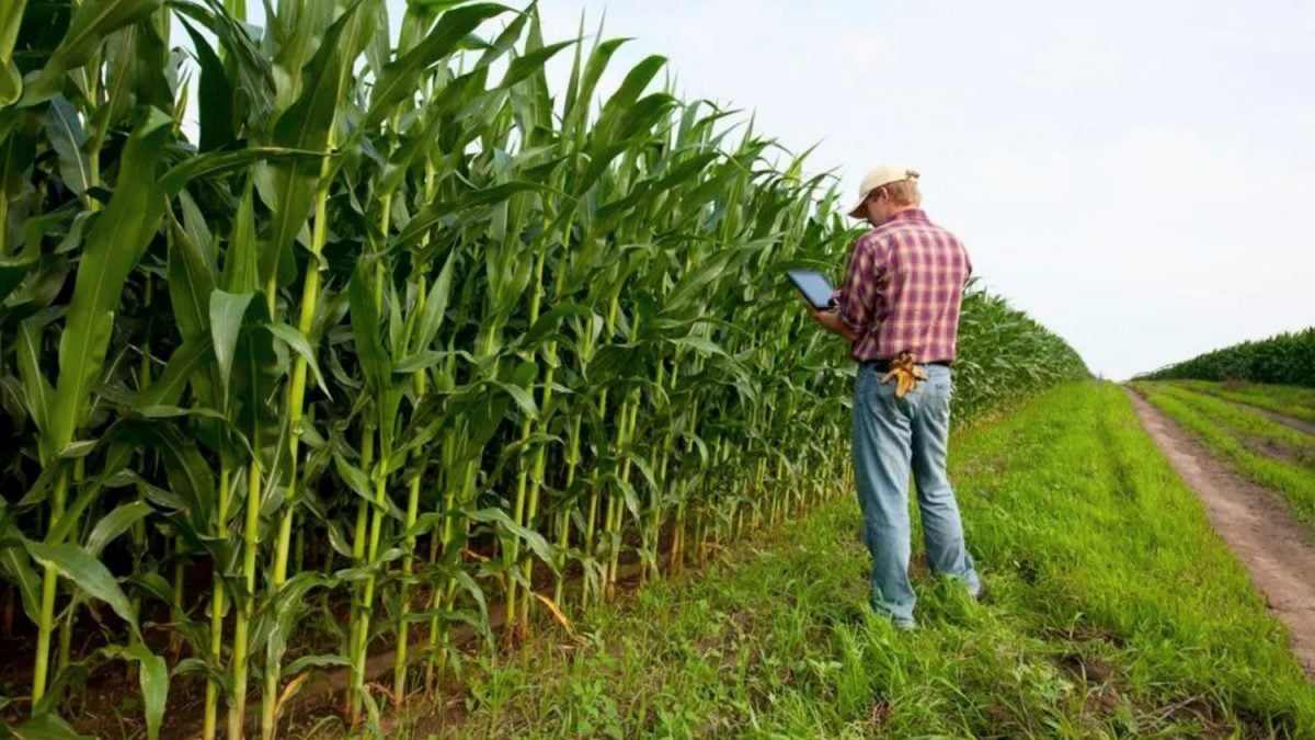 Agricultura de Precisão Pode Mudar o Futuro da Saúde Pública