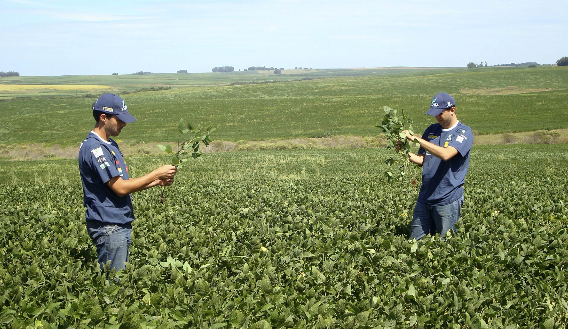 Agro brasileiro avança na China com novos acordos e escritório em Pequim