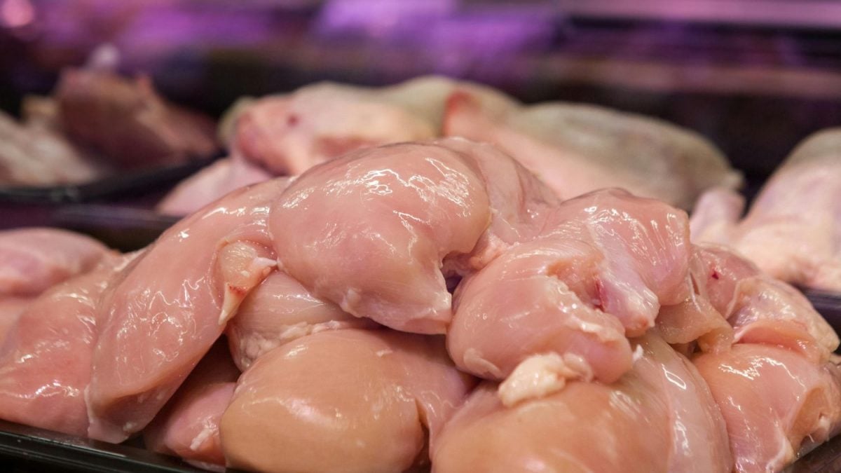 Brasil Pode Perder US$ 200 Milhões por Mês com Suspensão das Exportações de Frango