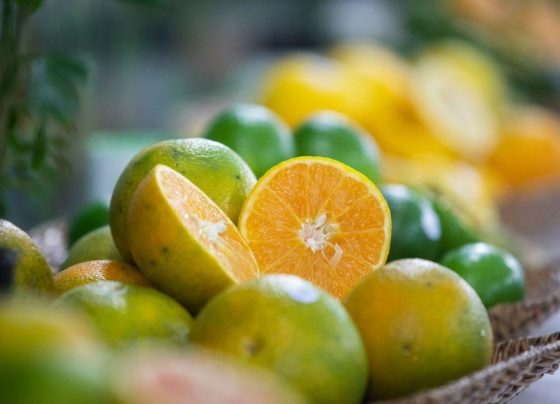 laranja, Citricultura responde por 7,48% dos empregos gerados no Brasil em 2019