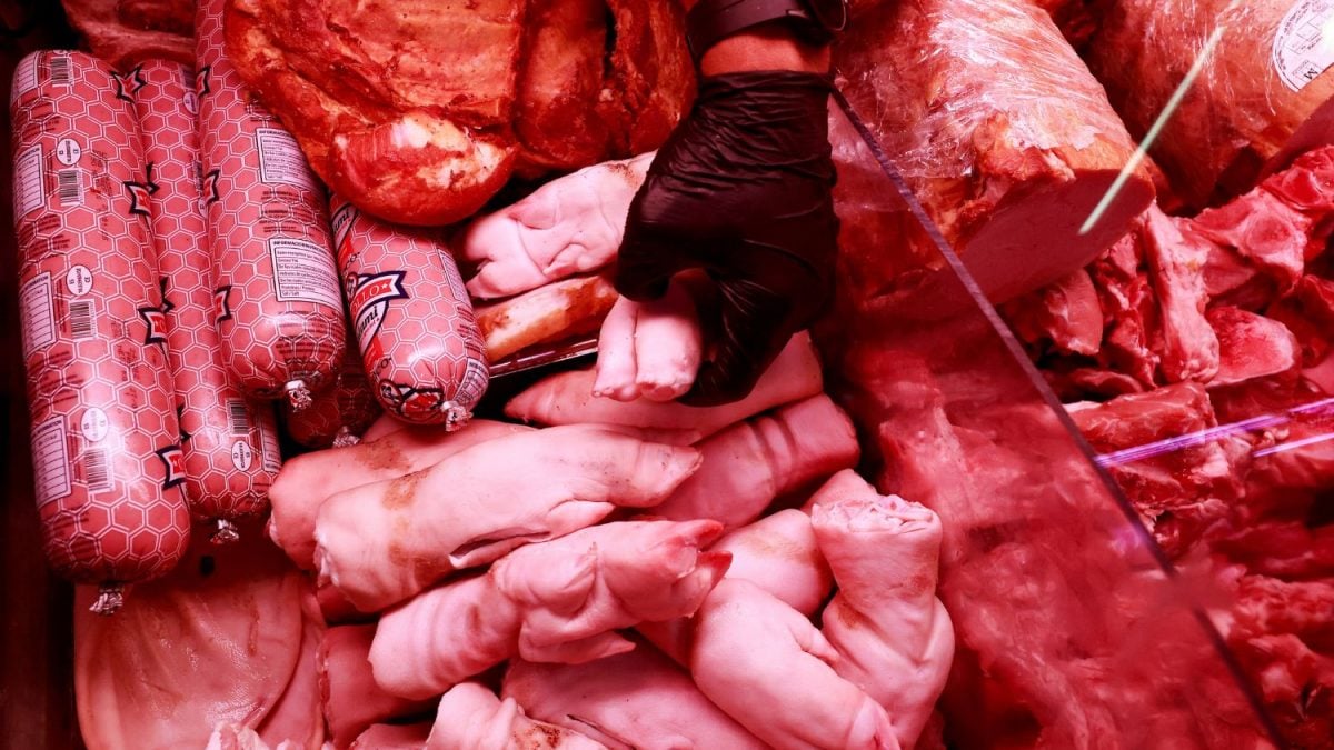 Coreia do Sul Isenta de Taxa Cota de 10 Mil t de Carne Suína do Brasil