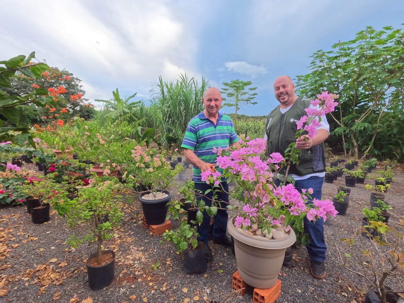 Cultivo de flores garante renda mensal de até R$ 6 mil em chácara de Mato Grosso