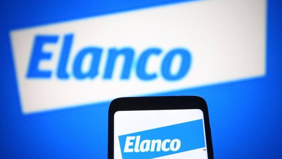 Elanco Registra Receita de US$ 1,19 Bilhão no 1º Trimestre e Eleva Projeção para 2025