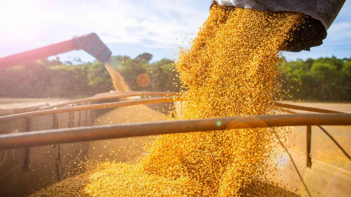 Exportação de Soja Brasileira para a China Recua 22% em Abril