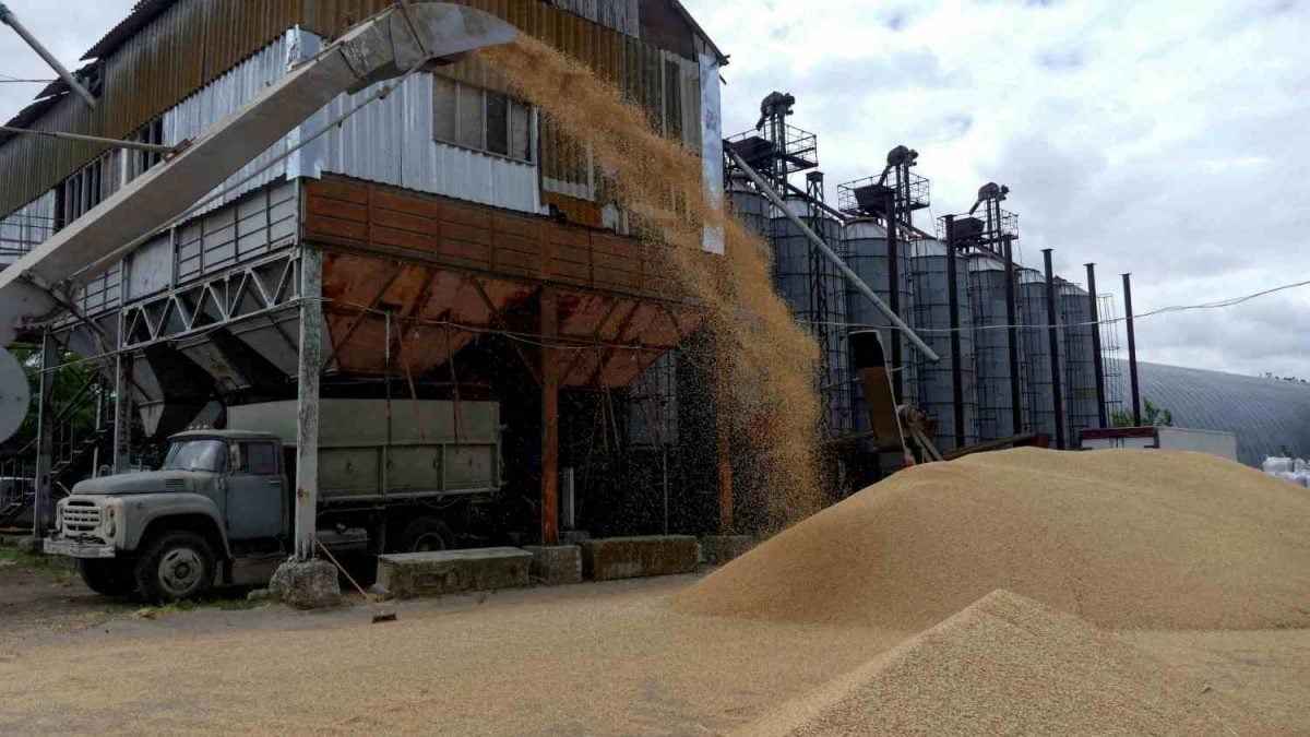 Geada e seca em abril afetaram safras da Ucrânia