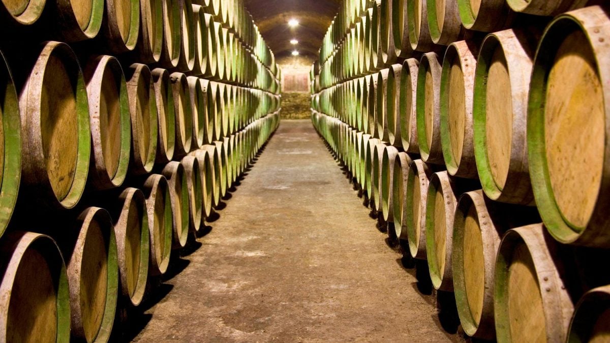 Nasce um dos Três Gigantes Vitivinícolas Globais com Vendas de quase US$ 1 Bilhão