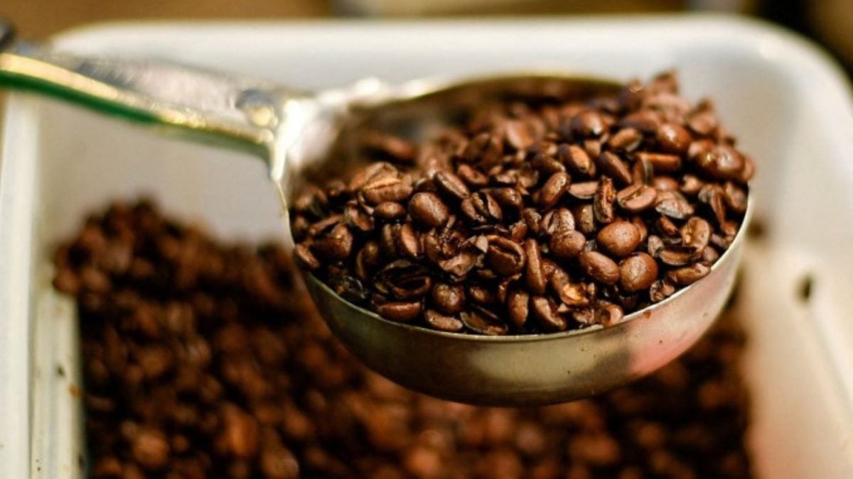 Nestlé Vai Investir R$ 500 Milhões em Negócios de Café no Brasil até 2028